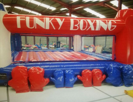 Inflatable Boxing Ring with gloves for hire Tenerife