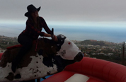 Bucking Bronco for Hire tenerife